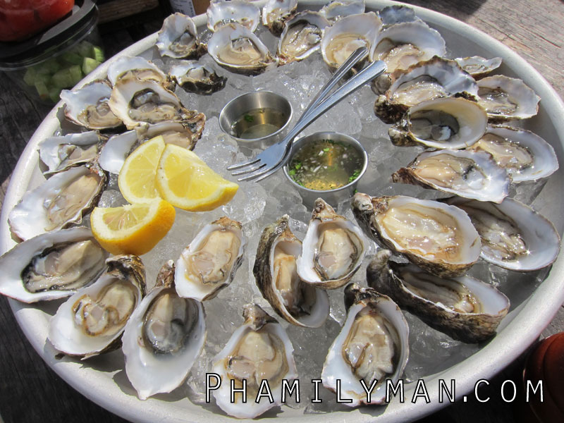 hog-island-oyster-farm-marshall-oysters